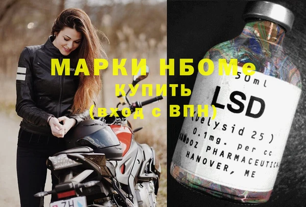 гашик Аркадак