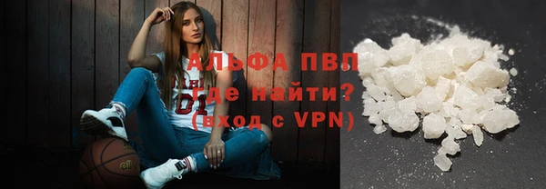 гашик Аркадак