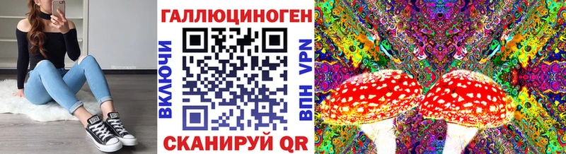 Галлюциногенные грибы прущие грибы  Советск 